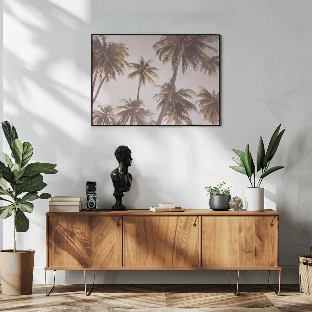 Blush Palmen | Poster