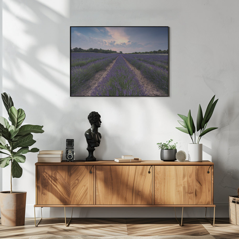 Blauer Lavendel | Poster