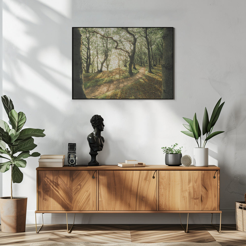 Magisches Buchenholz | Poster