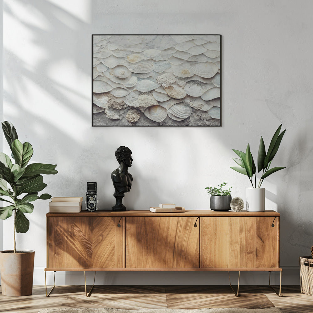 Muschel-Harmonie-Wand | Poster