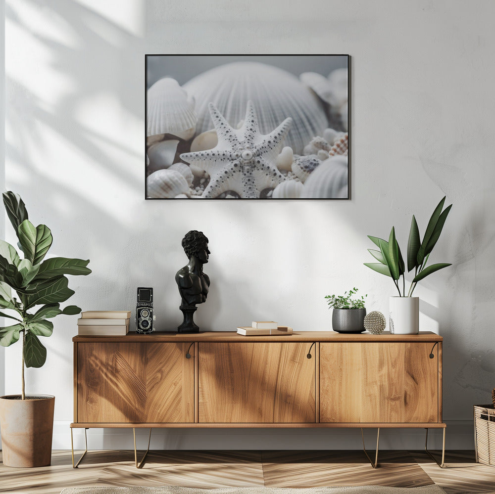Muschelsymphonie | Poster