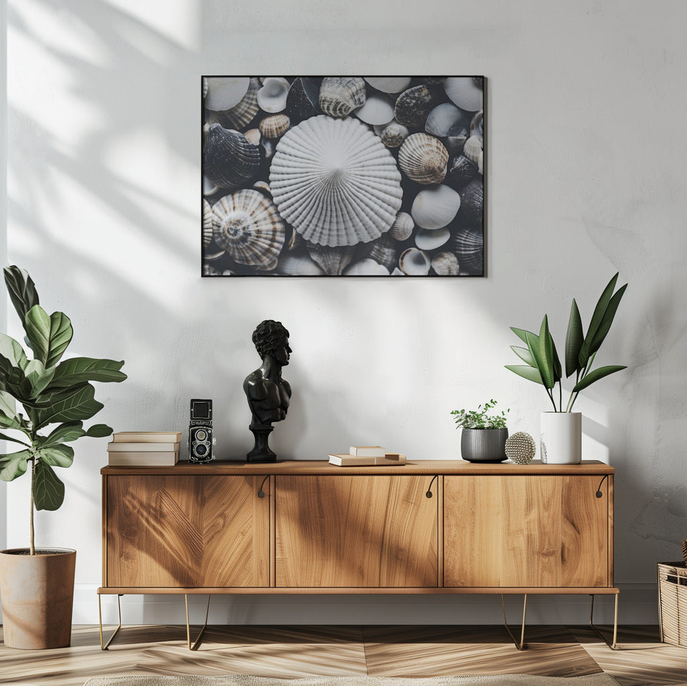 Muschelsymphonie | Poster