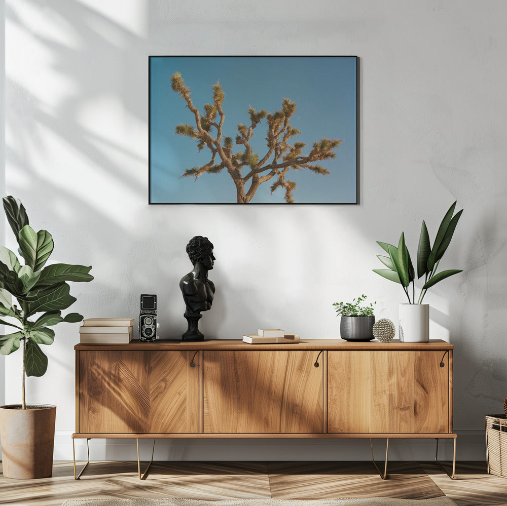 Joshua Tree Mond III | Poster