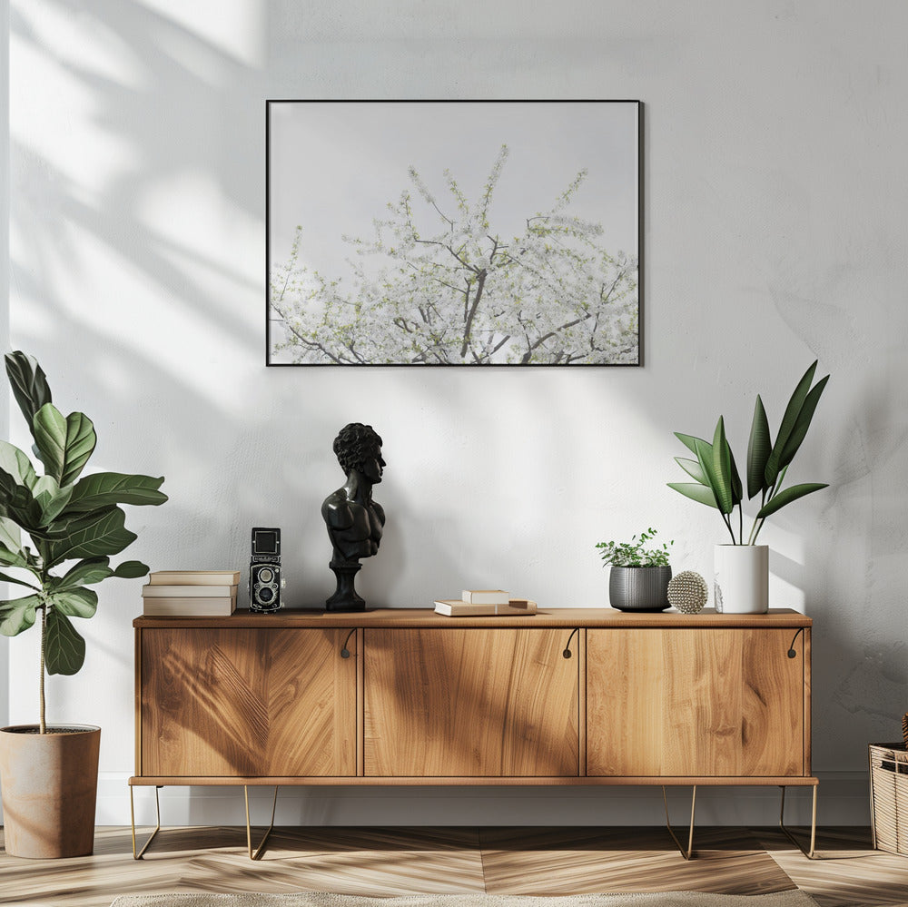 Weißer Frühlingsbaum 2 | Poster