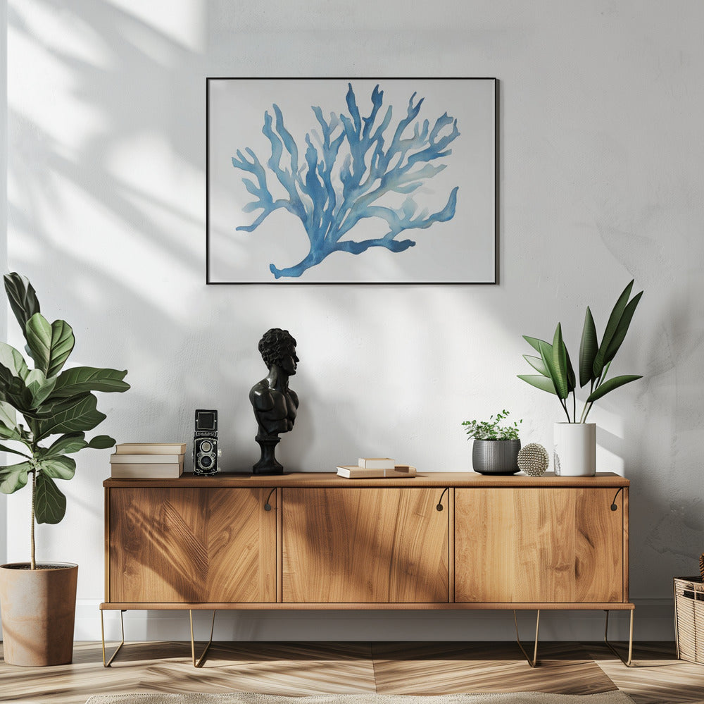 Blue Coral | Poster