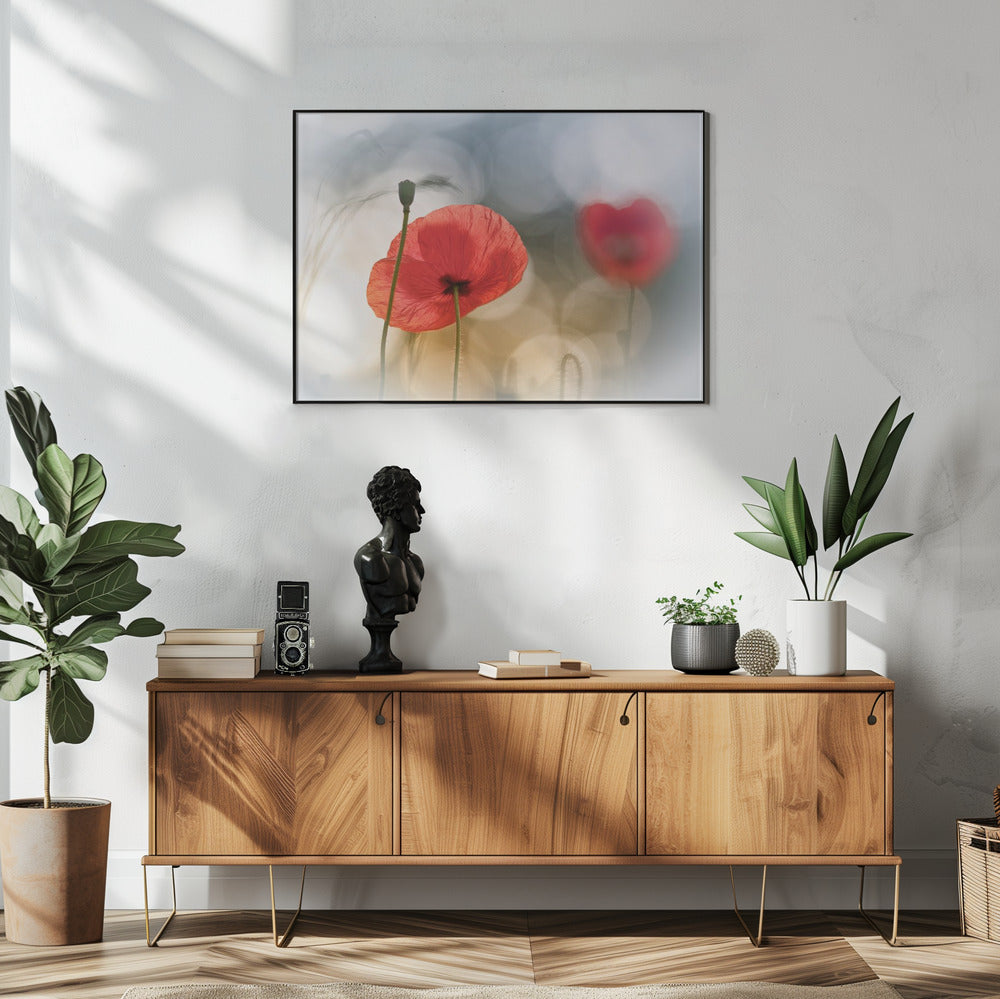 Morgenmohn | Poster
