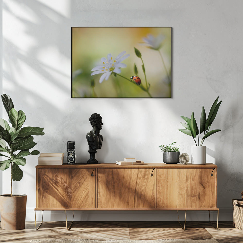 Sommerschönheiten | Poster