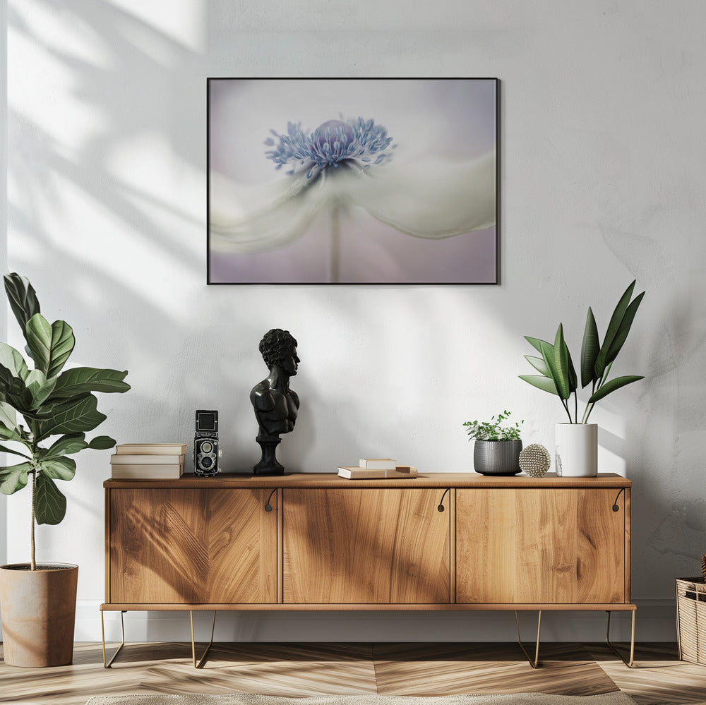 Anemone | Poster