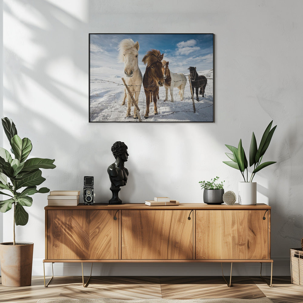 Isländische Frisur | Poster