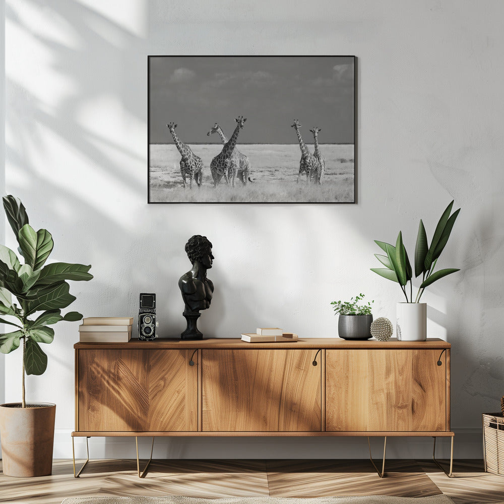 Schau mal, Mädchen, seltsame Tiere | Poster