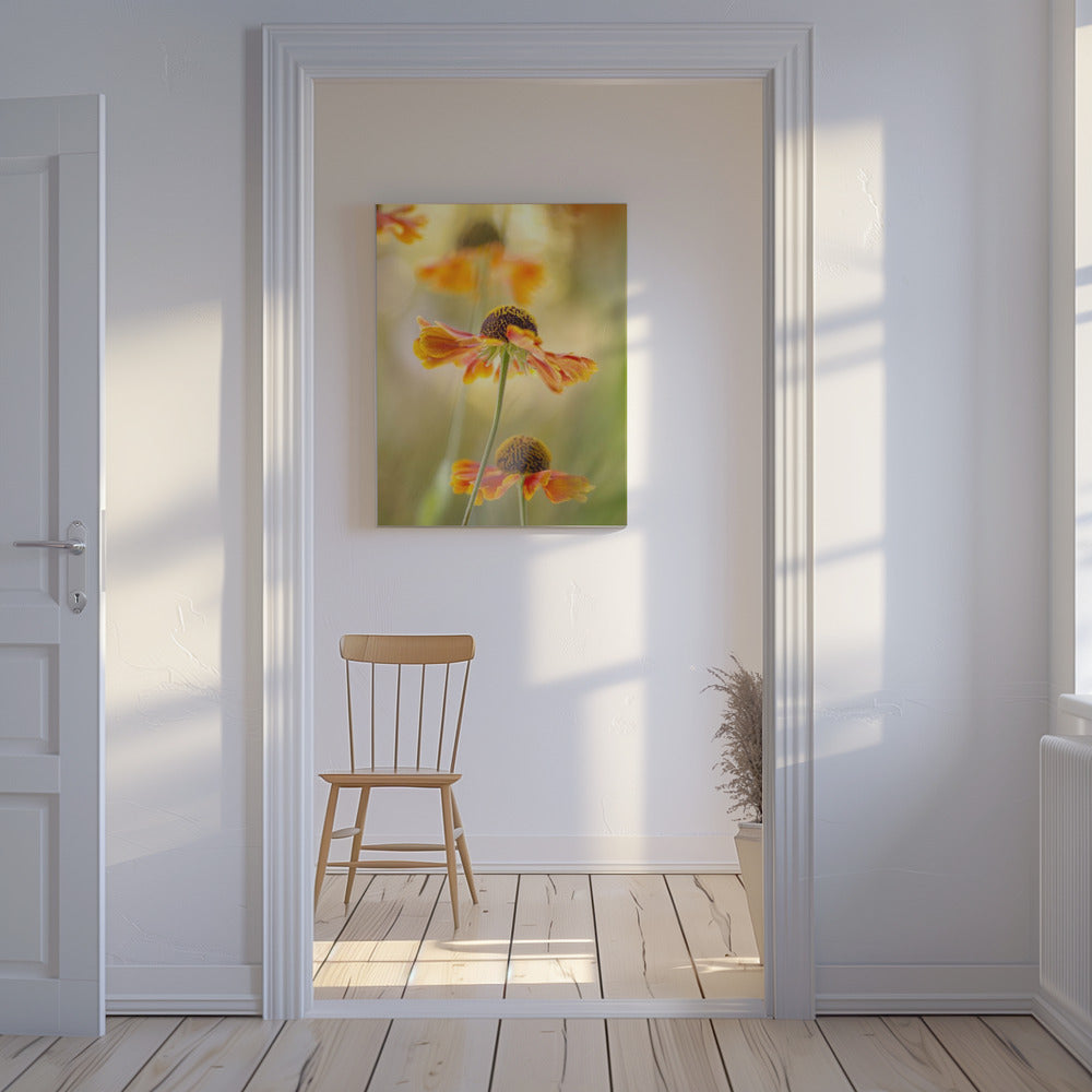 Helenium | Leinwand