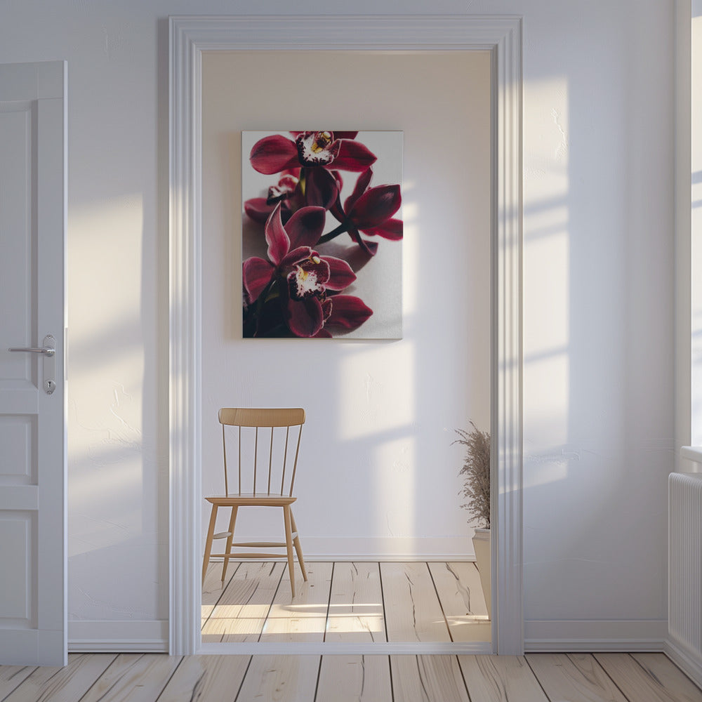 Red Orchids with Delicate Petals | Canvas