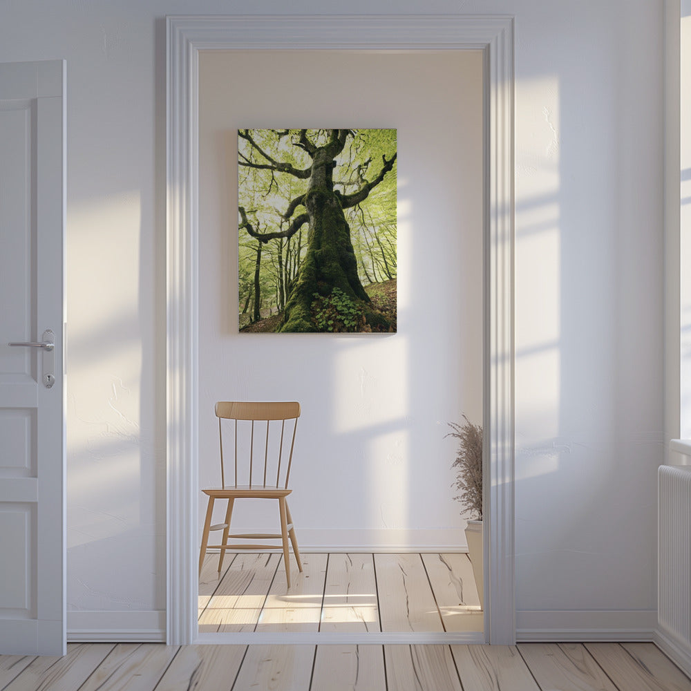 Ent | Leinwand