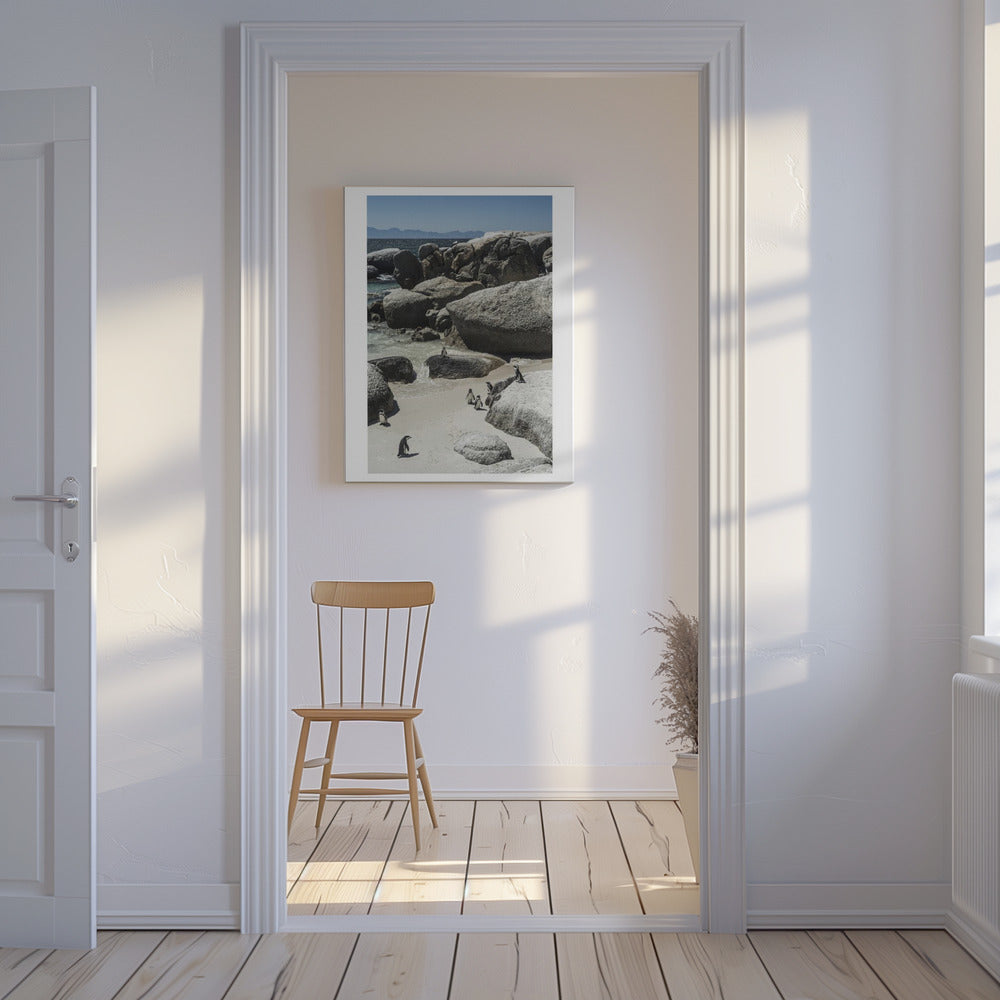 Küstenspaziergang der Pinguine | Leinwand