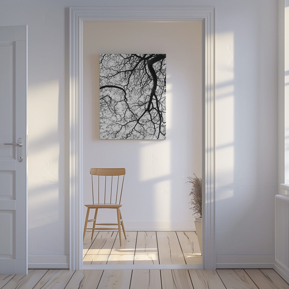 Branches&#039; Dance | Canvas