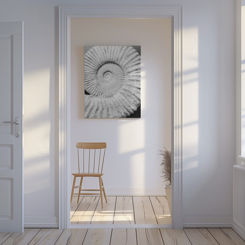 Uralte Spiralträume | Leinwand