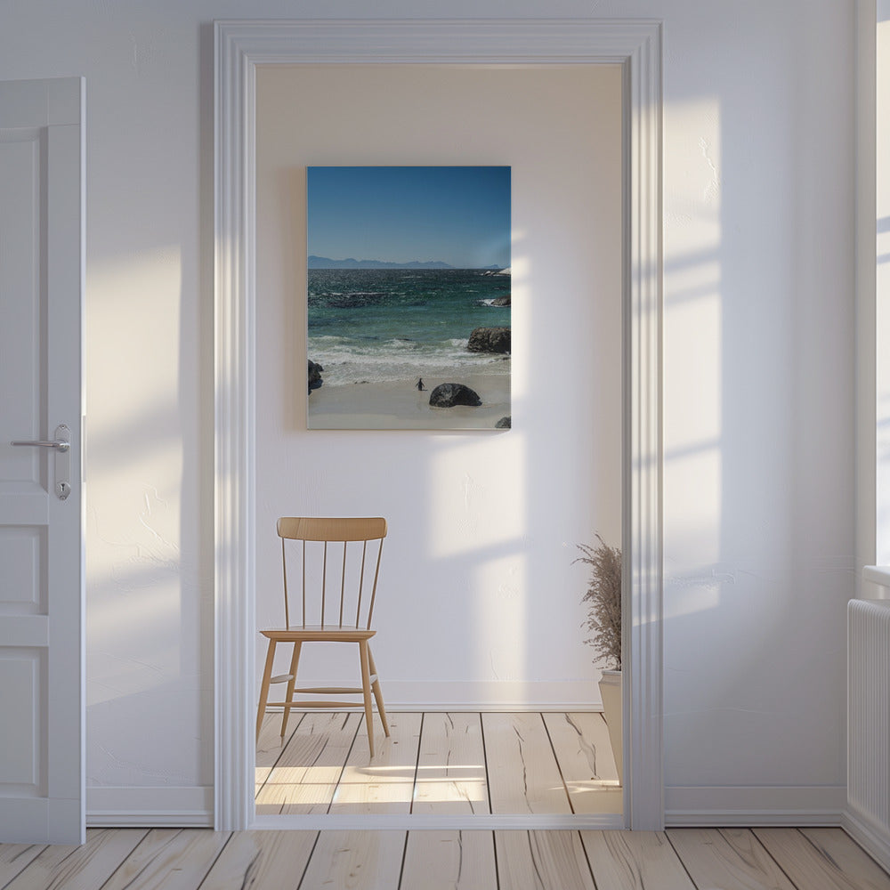 Strandspaziergang des Pinguins | Leinwand
