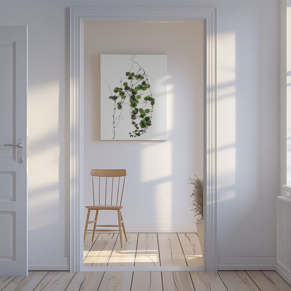 Vine’s Dance | Canvas