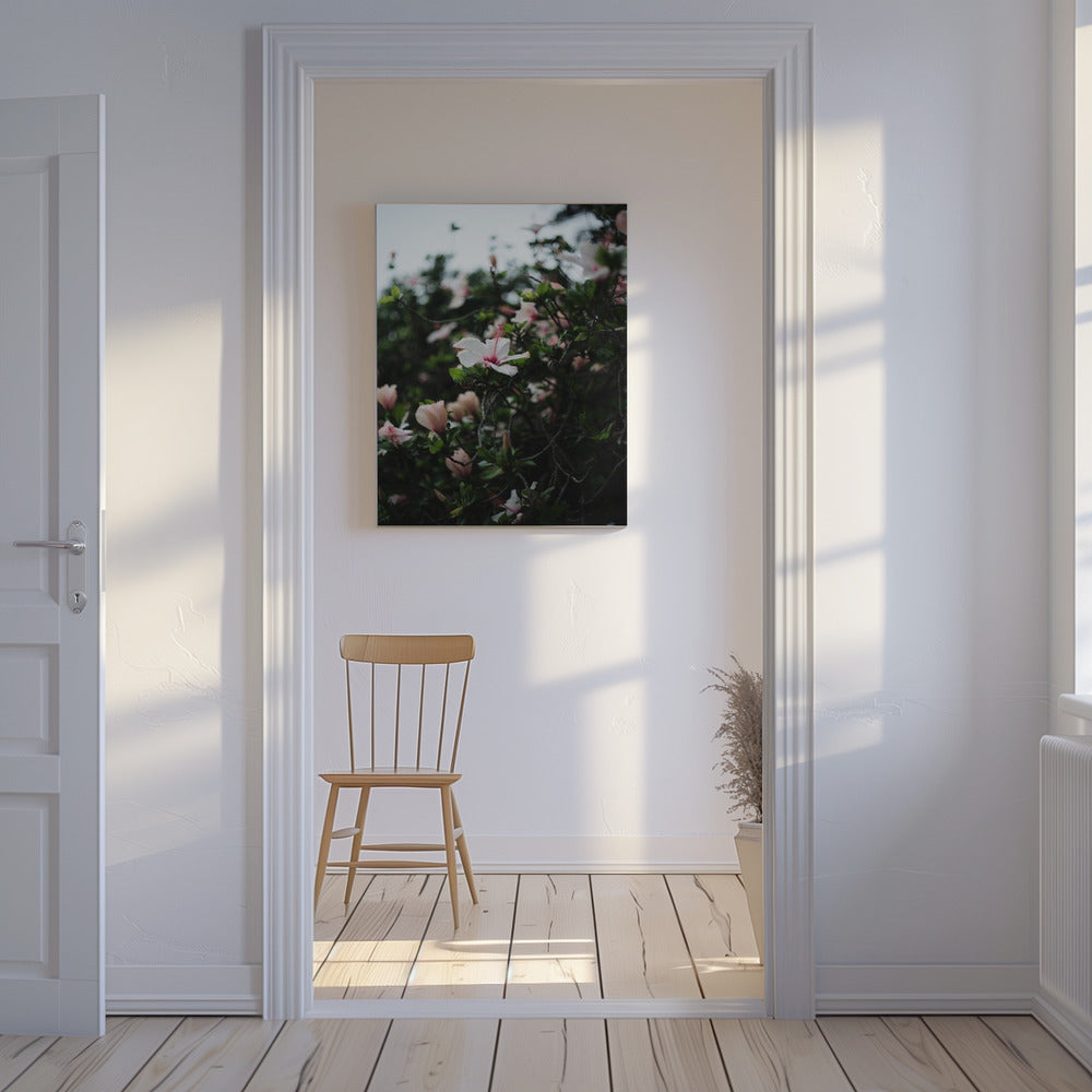 Blüten in voller Blüte | Leinwand