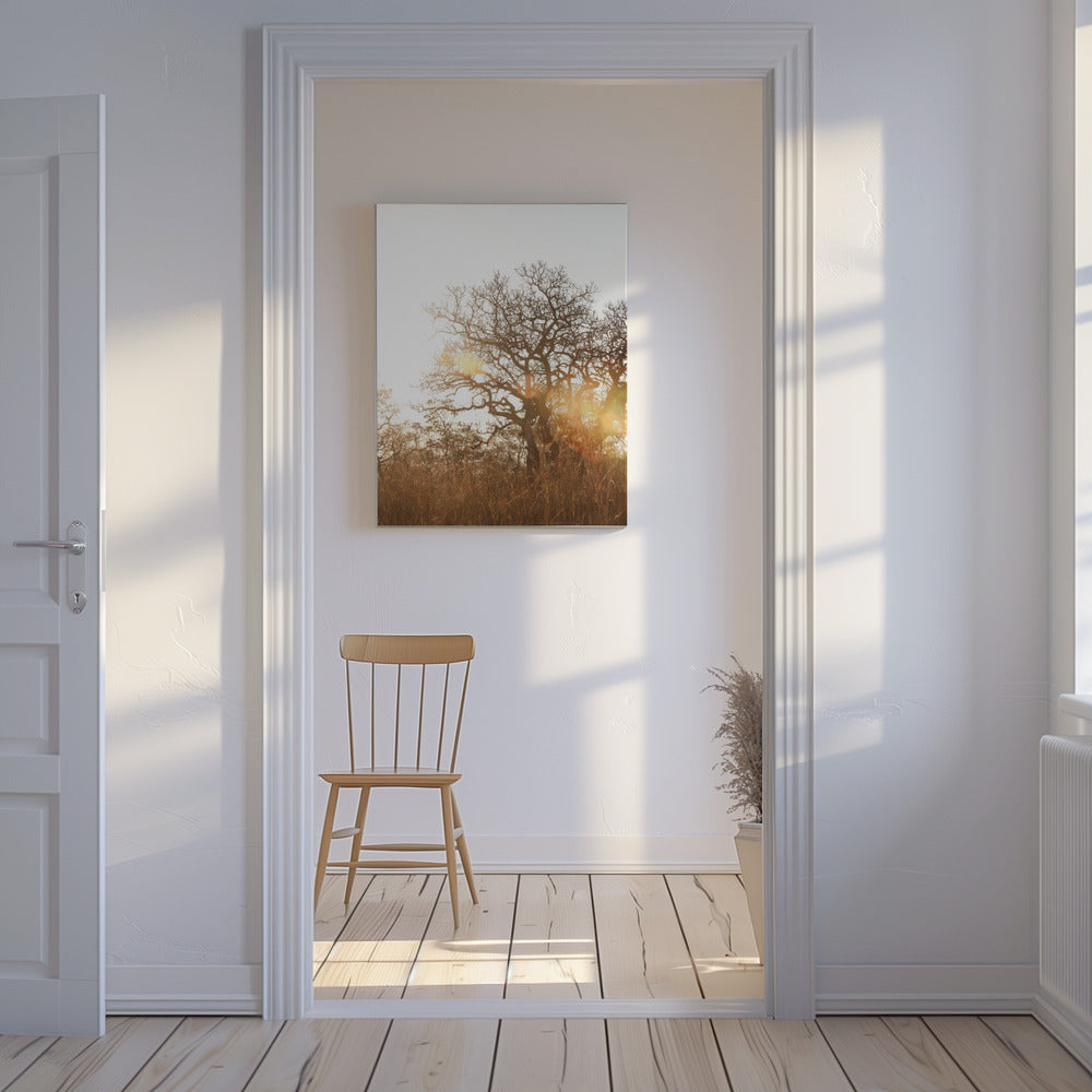 Sunlit Silhouette | Canvas