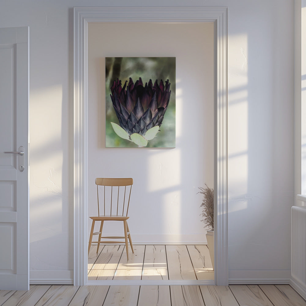 Shadowed Blossom | Canvas