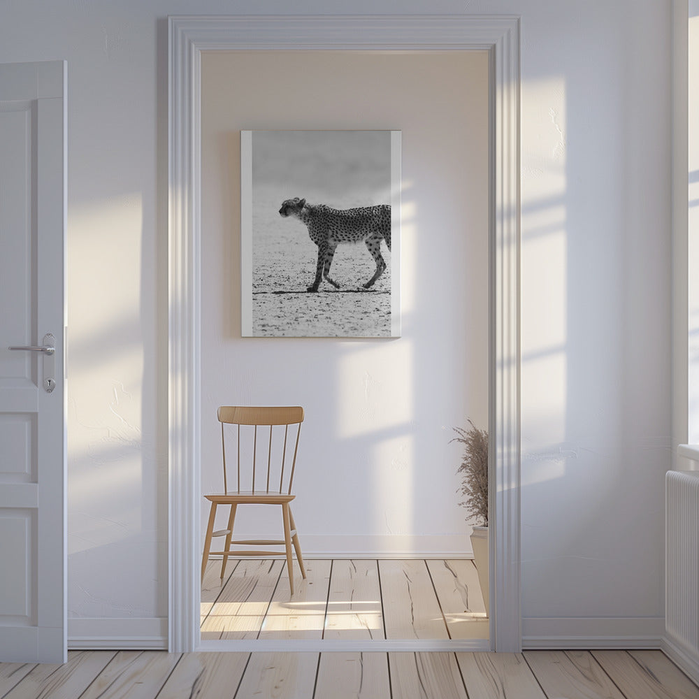 Cheetah&#039;s Stride | Canvas
