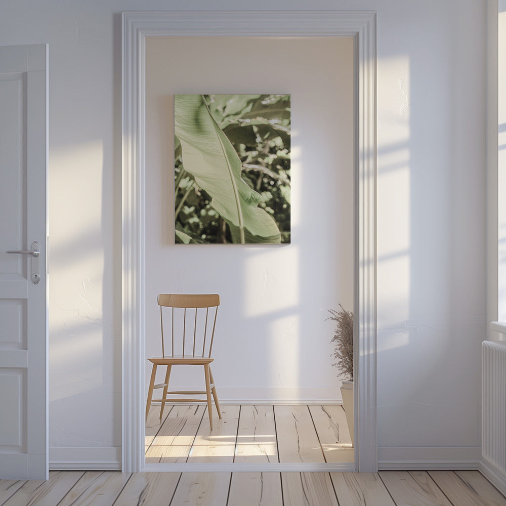 Emerald Canopy | Canvas