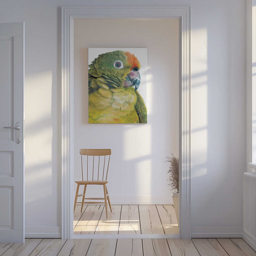 Lebendiger Papageienblick | Leinwand