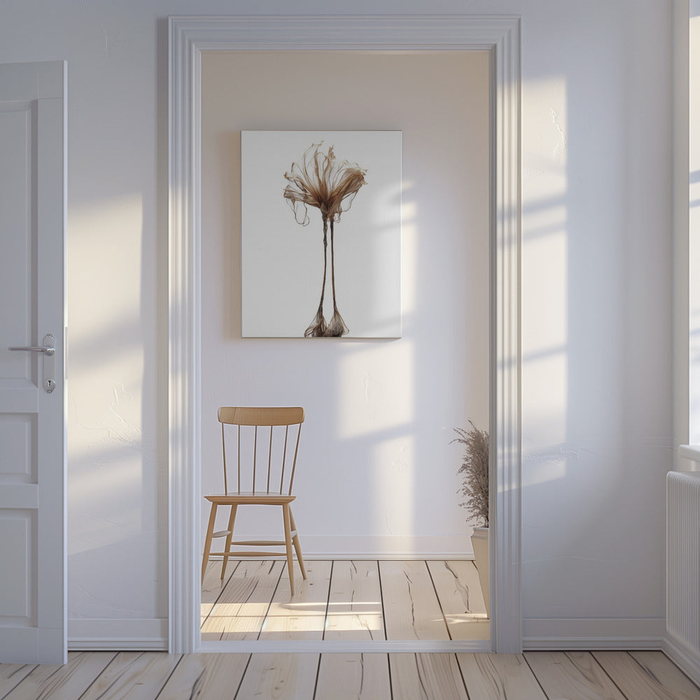 Delicate Whimsy | Canvas