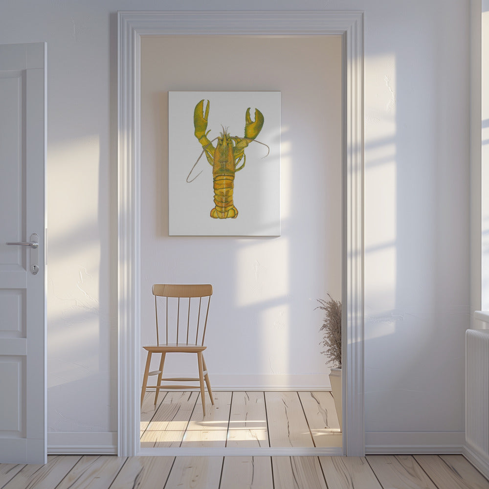 Lobster | Canvas