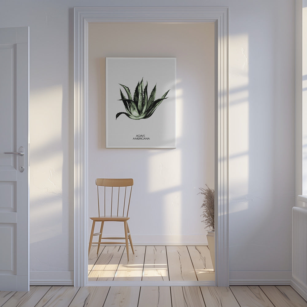 Grüne Agave Eleganz | Leinwand
