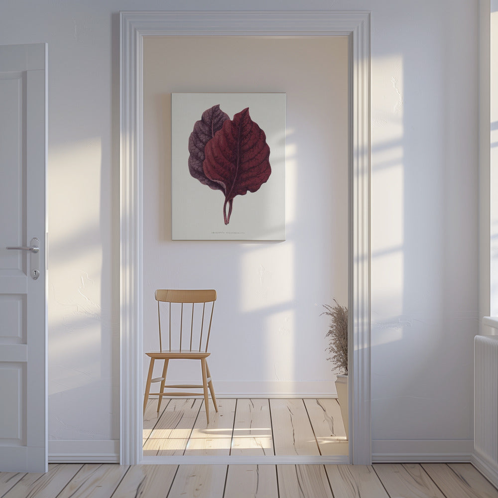 Rosa Amarantblatt Illustration | Leinwand