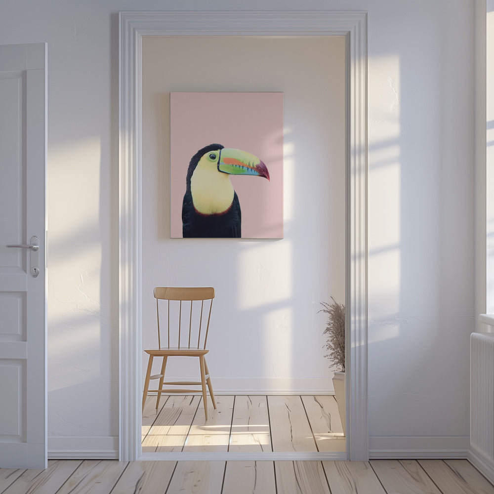 Tukan auf Rosa | Leinwand