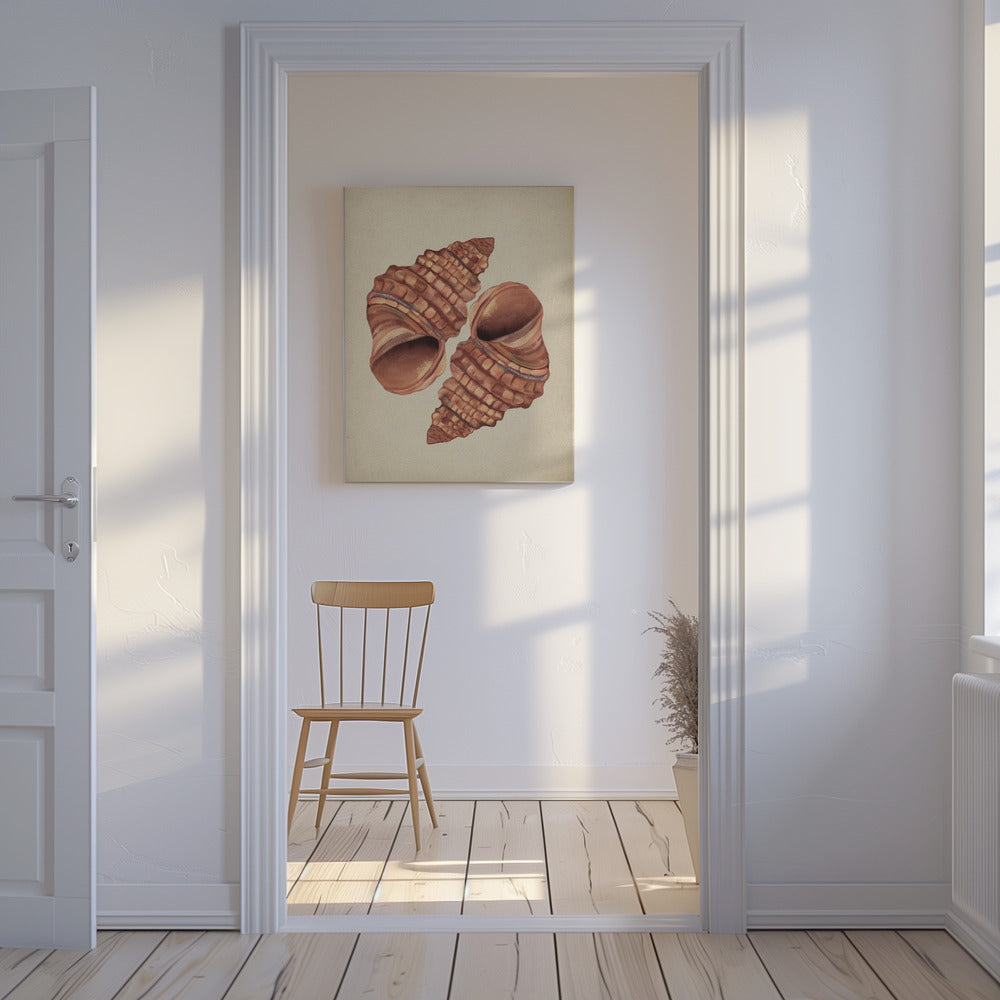 Muschel Vintage | Leinwand