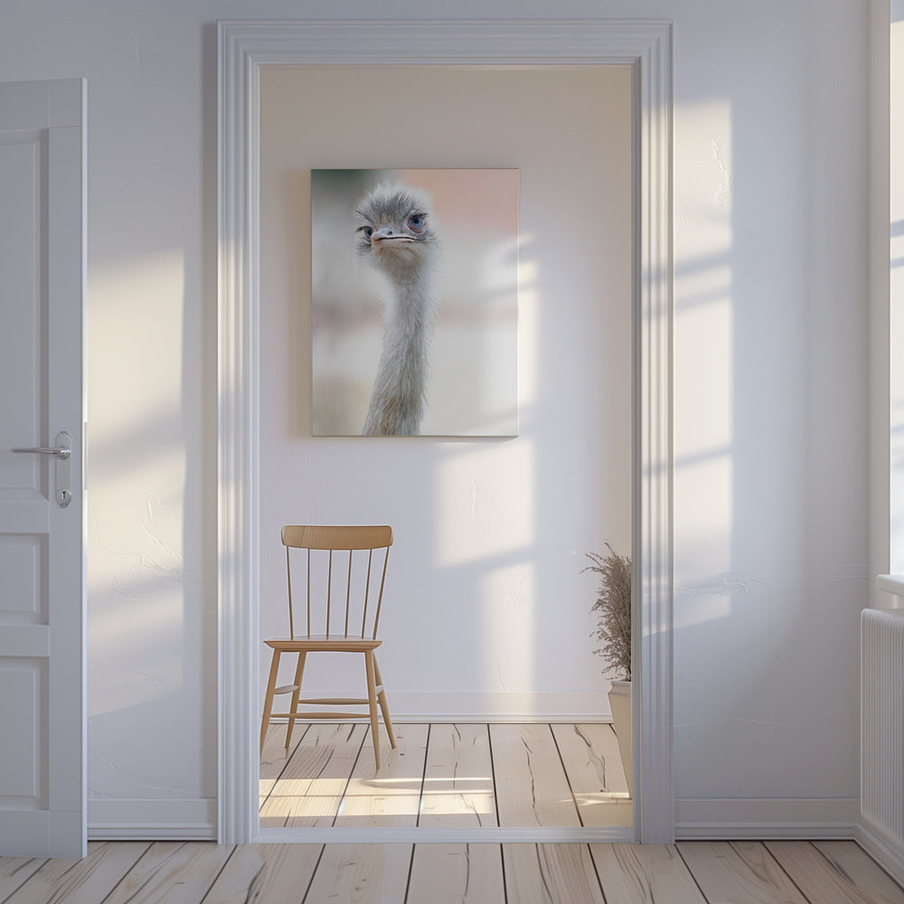 natürliche Schönheit | Leinwand