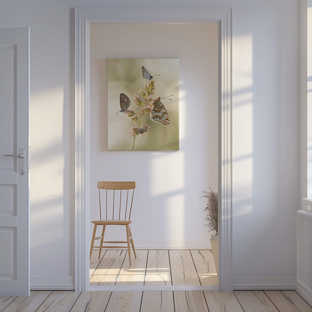 Eine Art Schmelztiegel | Leinwand