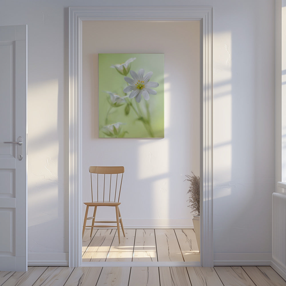 Frühlingsglanz | Leinwand