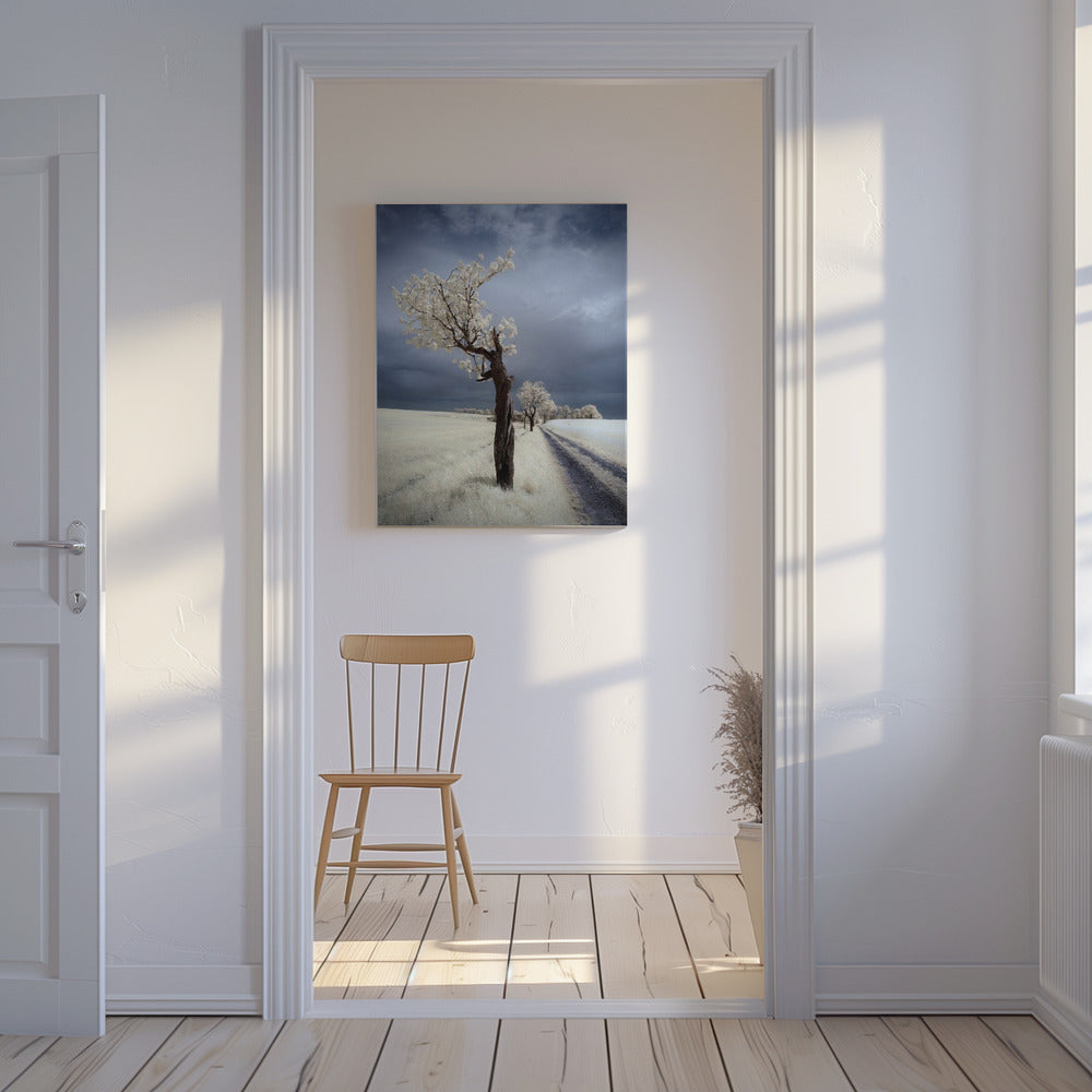 IRenka | Canvas