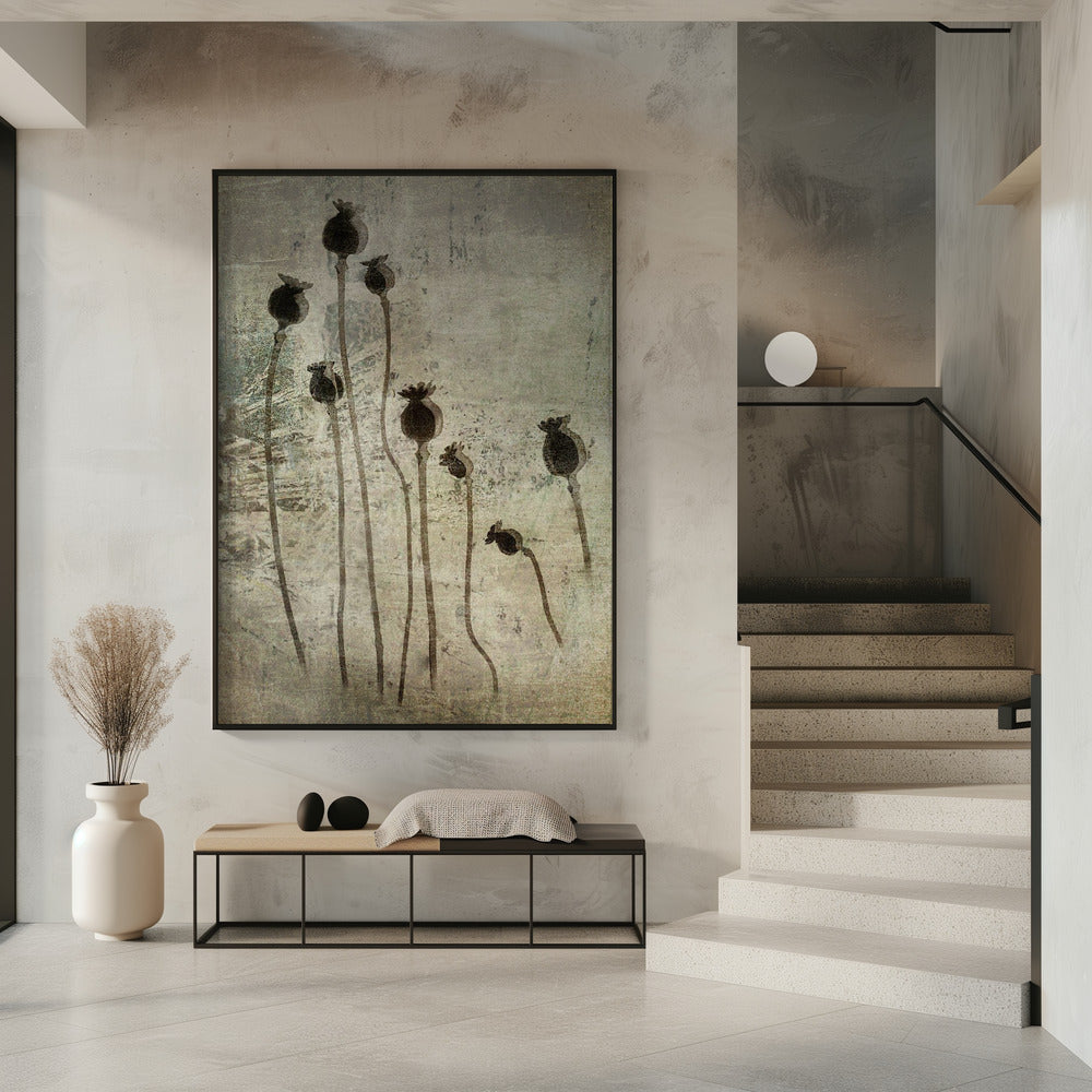 Poppy seedlings | Poster
