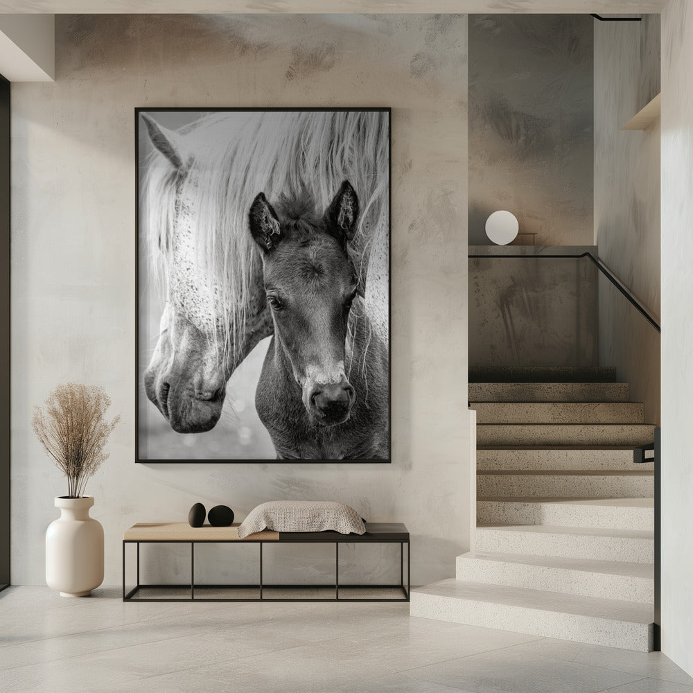 The Foal | Poster