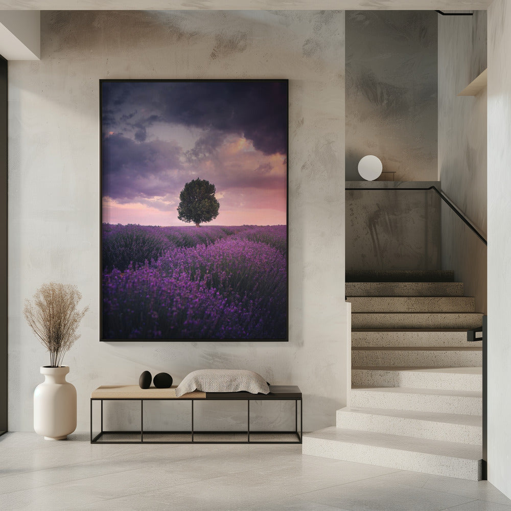 Lavendelfelder, Isparta | Poster
