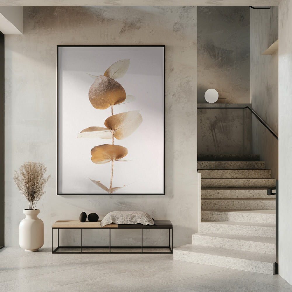 Eukalyptus Gold Nr. 06 | Poster