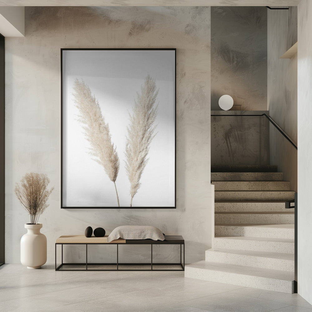 Pampas Weiß | Poster