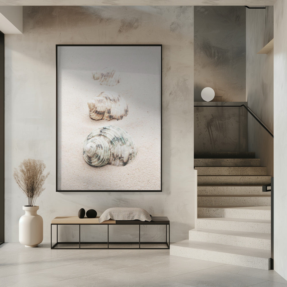Muscheln | Poster