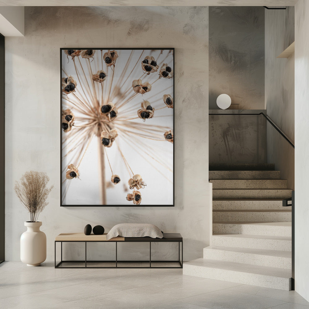Dried_007 | Poster