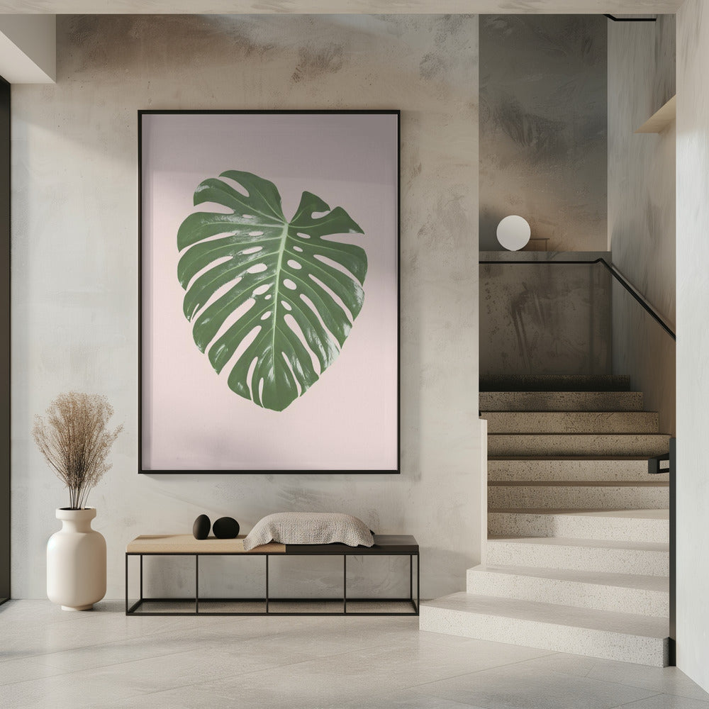 Monstera Blatt Blush | Poster