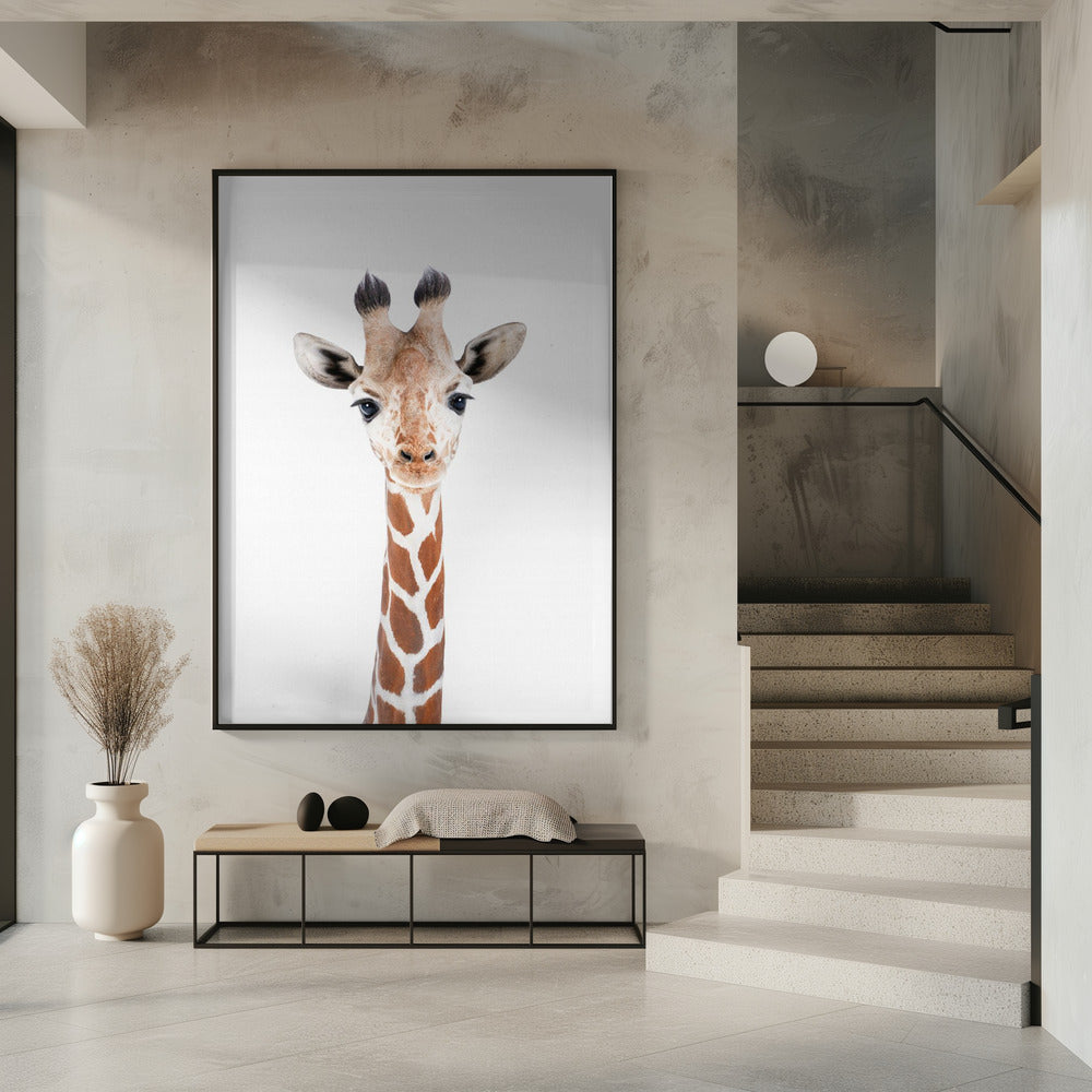 Baby-Giraffe | Poster