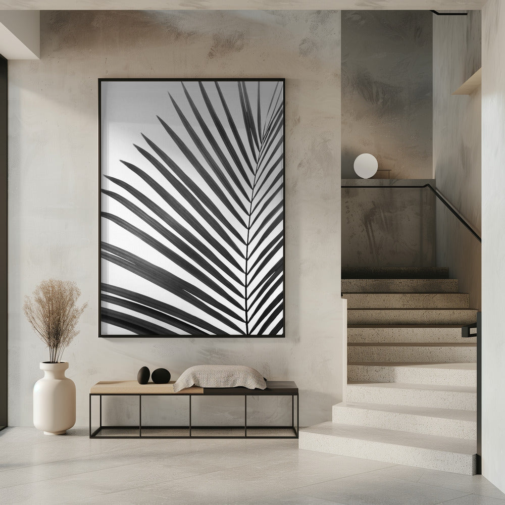 BW Palmblatt | Poster