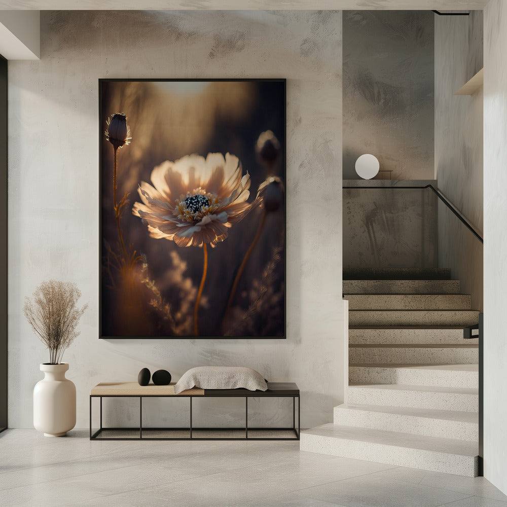 Sonnenbeschienene Blüte | Poster
