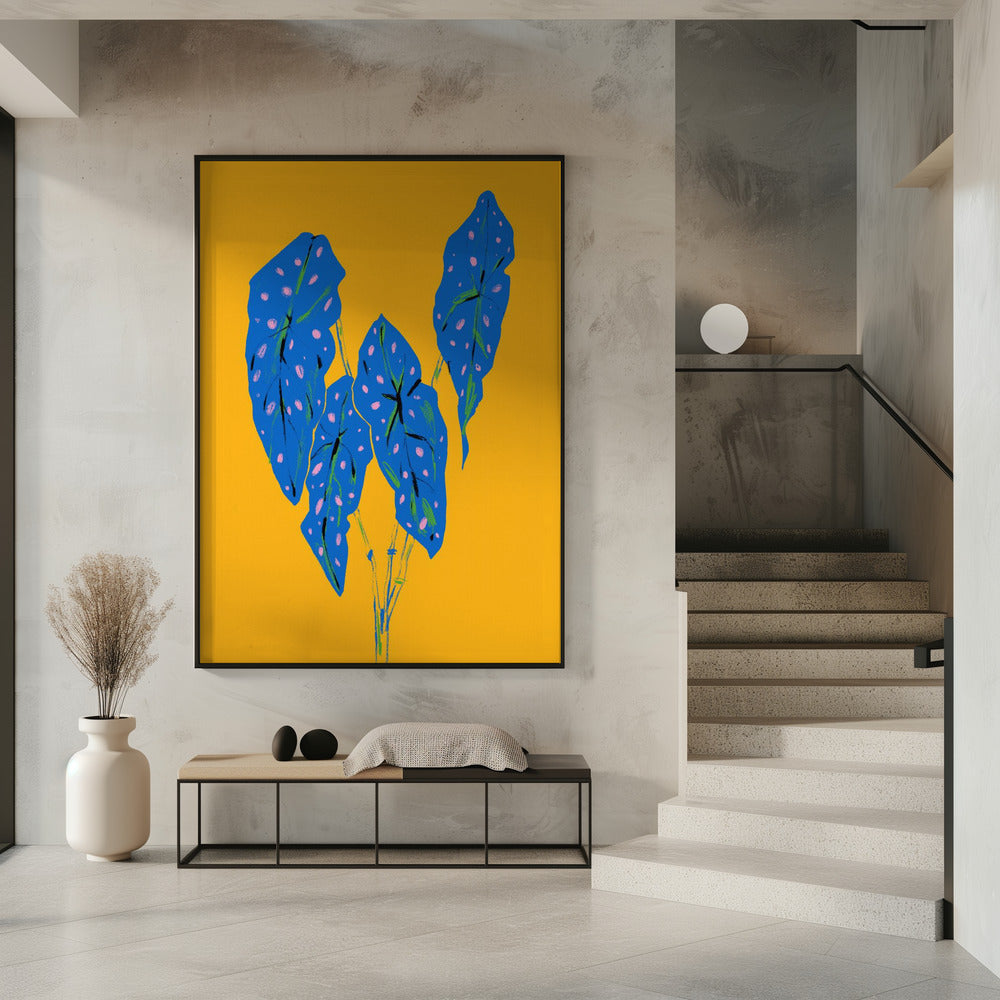 Begonia Maculata Blau und Gelb | Poster
